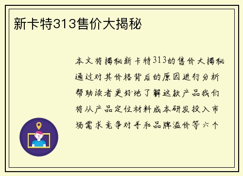 新卡特313售价大揭秘